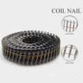 Professional Galvanized Common Nails with Nice Price